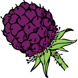Icône violet aliment mûre fruit à télécharger gratuitement